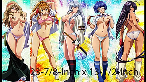 #4 Battle Vixens PLAYMAT, Ikki Tousen Play mat The Card Game Playmat