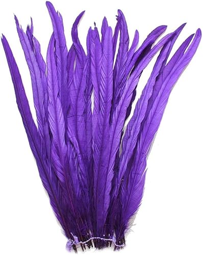 Miniatura 6 de Nature Rooster Coque Tails Feathers - Decoración de manualidades de 12-14 pulgadas, paquete de 25 unidades (azul)