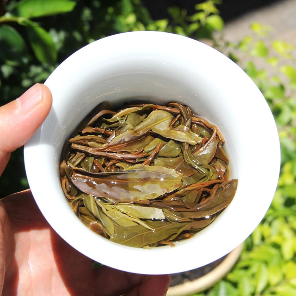 Thé Pu-erh Cru Sauvage De Daxueshan, Arbres Sauvages Centenaires, En Vrac (500g/17.64oz)