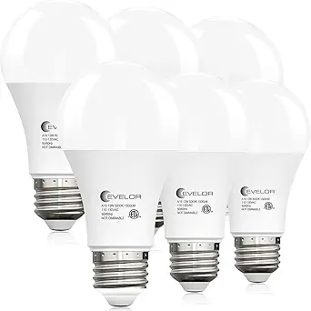 Evelor 6-Pack A19 LED Light Bulbs, 100 Watt Equivalent, Daylight 5000K, 13W, 1500 Lumens, E26 Base, Non-Dimmable, 15,000-Hour Lifespan