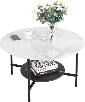 Wisfor Marble Tabletop Sofa Coffee Table 2 Tier Round White Sintered Stone Center Table with Black Fram for Living Room, 31.5" x 31.5" x 18.7"