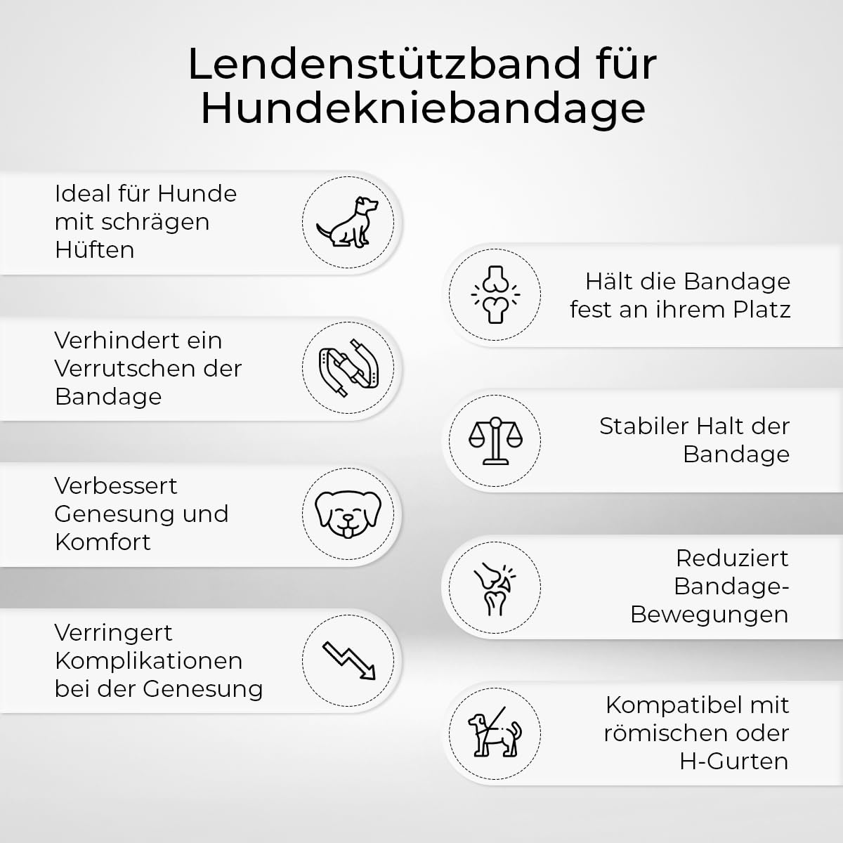 Ortocanis - Haltegurt für Kniebandage Hund - Verhindert das Abrutschen und Sichert die Kniebandage - Fördert die Stabilität - Größe Gurtband + Geschirr: L 69-96 cm