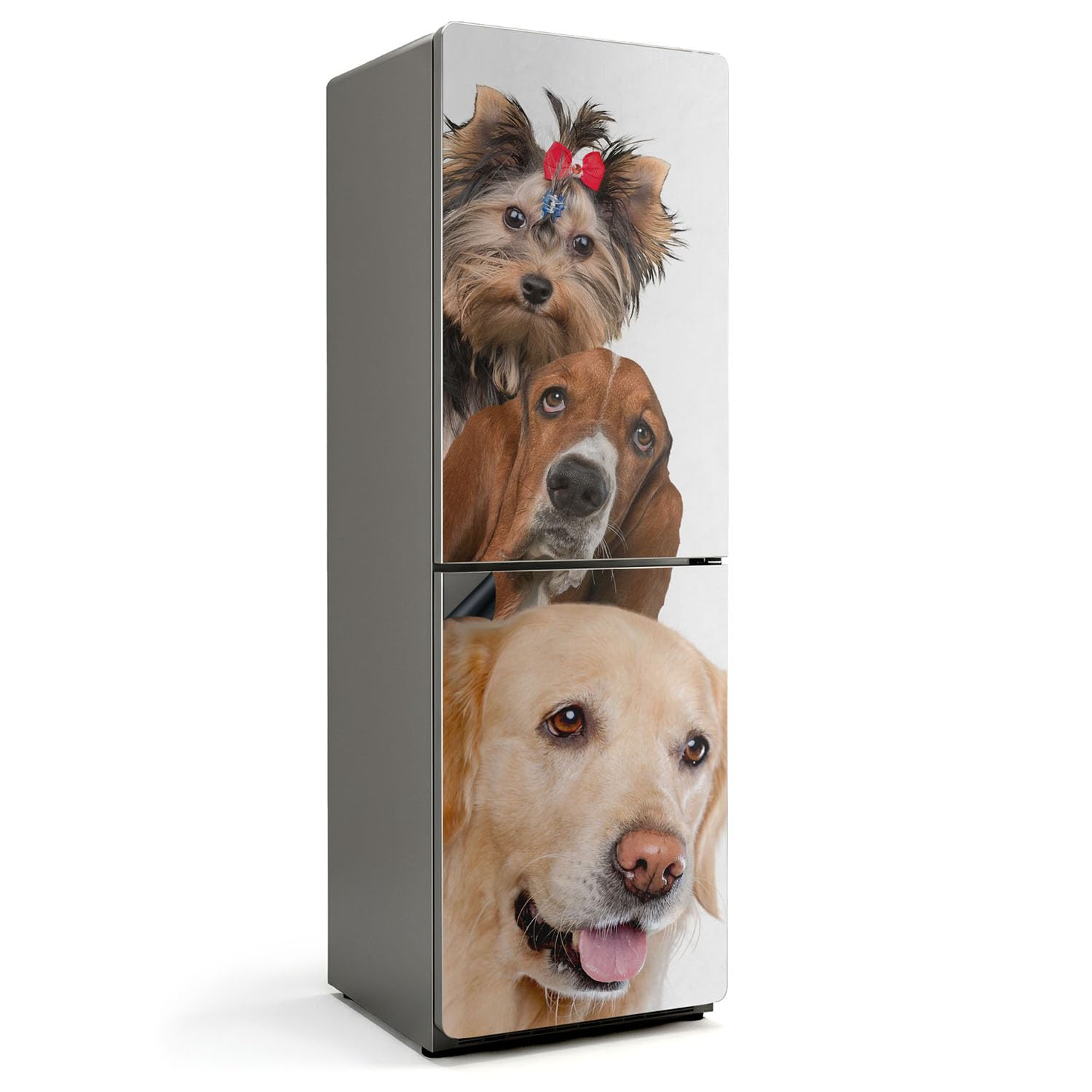 Tapis de cuisine magnétique décoratif motif trois chiens pour un espace propre et gai