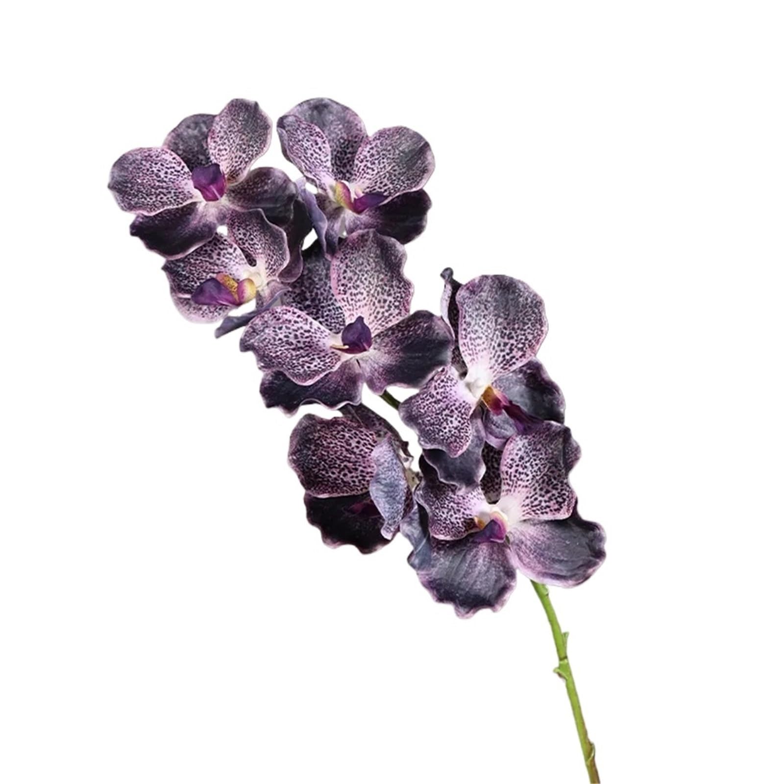 LSYHHXC Artificial Orchid 80 CM Artificial Vanda Orchid Moisturizing Phalaenopsis Branch Large Flower Realistic Real Touch Orchids