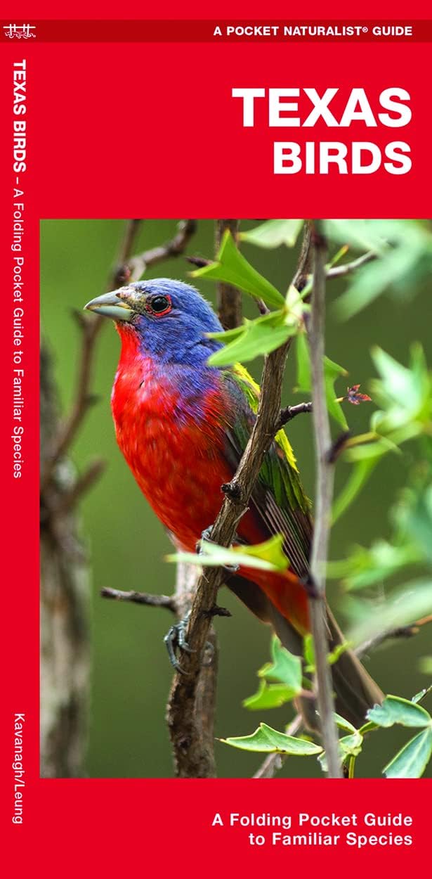 Texas Birds (Nature Observation North America)