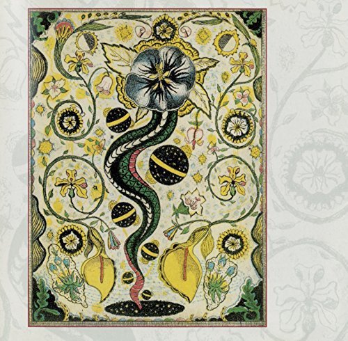 Earle Steve I Feel Alright Amazon Com Music