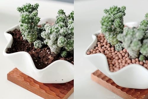 Miniatura 6 de HOT SEAL Guijarros de arcilla de 1.9 libras, cerámica de jardinería de 18 pulgadas, medios de cultivo para suculentas, orquídeas, acuaponía,