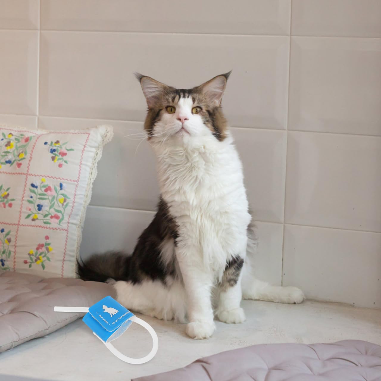 POPETPOP Tensiómetro veterinario para gatos y perros con manguito de presión arterial reutilizable Medición precisa de la presión arterial para mascotas para controlar la salud