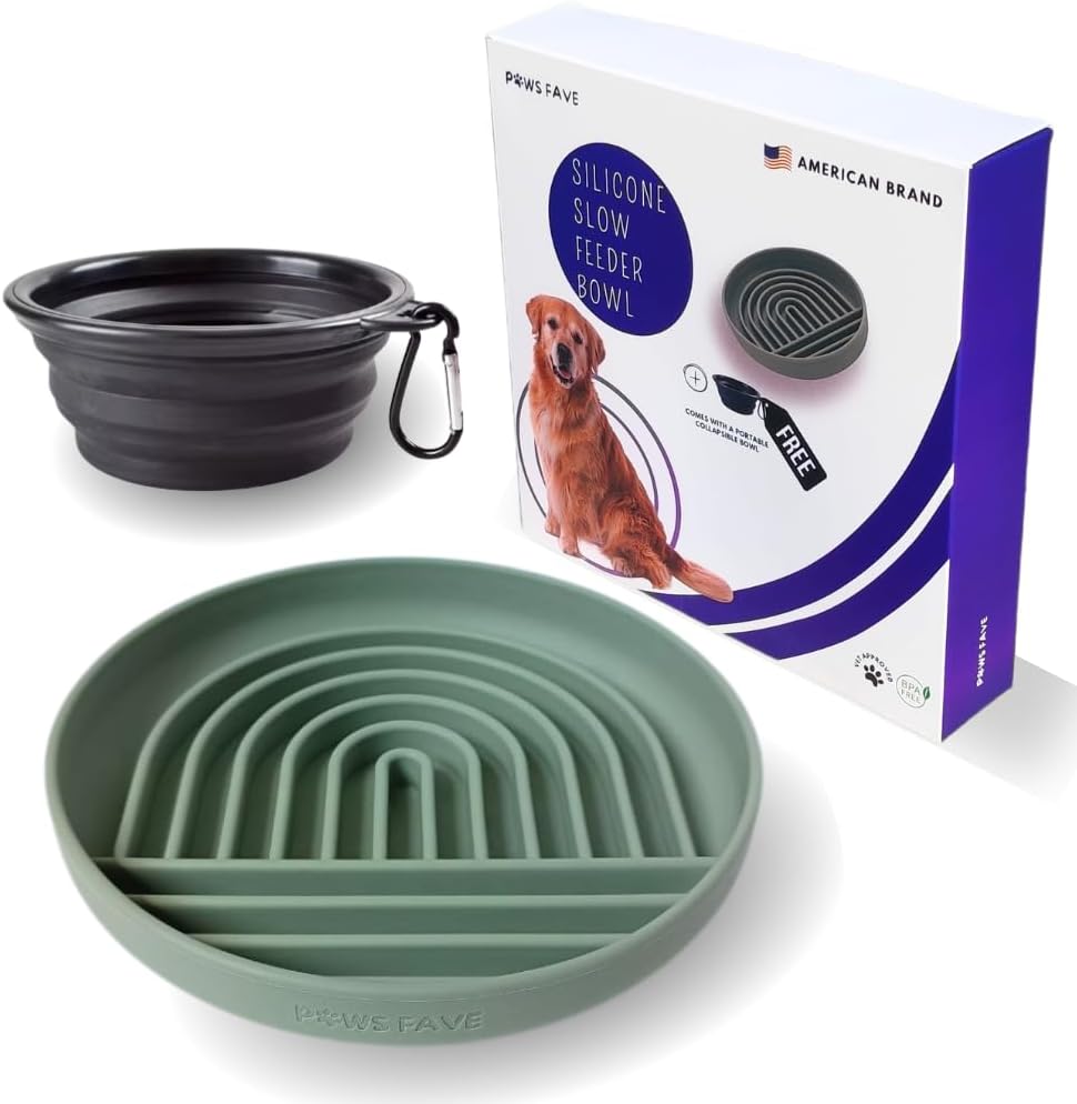 Silicone Slow Feeder Dog Bowl + Collapsible Dog Bowl, Reduces Gulping, for Large and Small Breeds, BPA Free, Dishwasher and Microwave Safe, Mealtime Challenge, Green