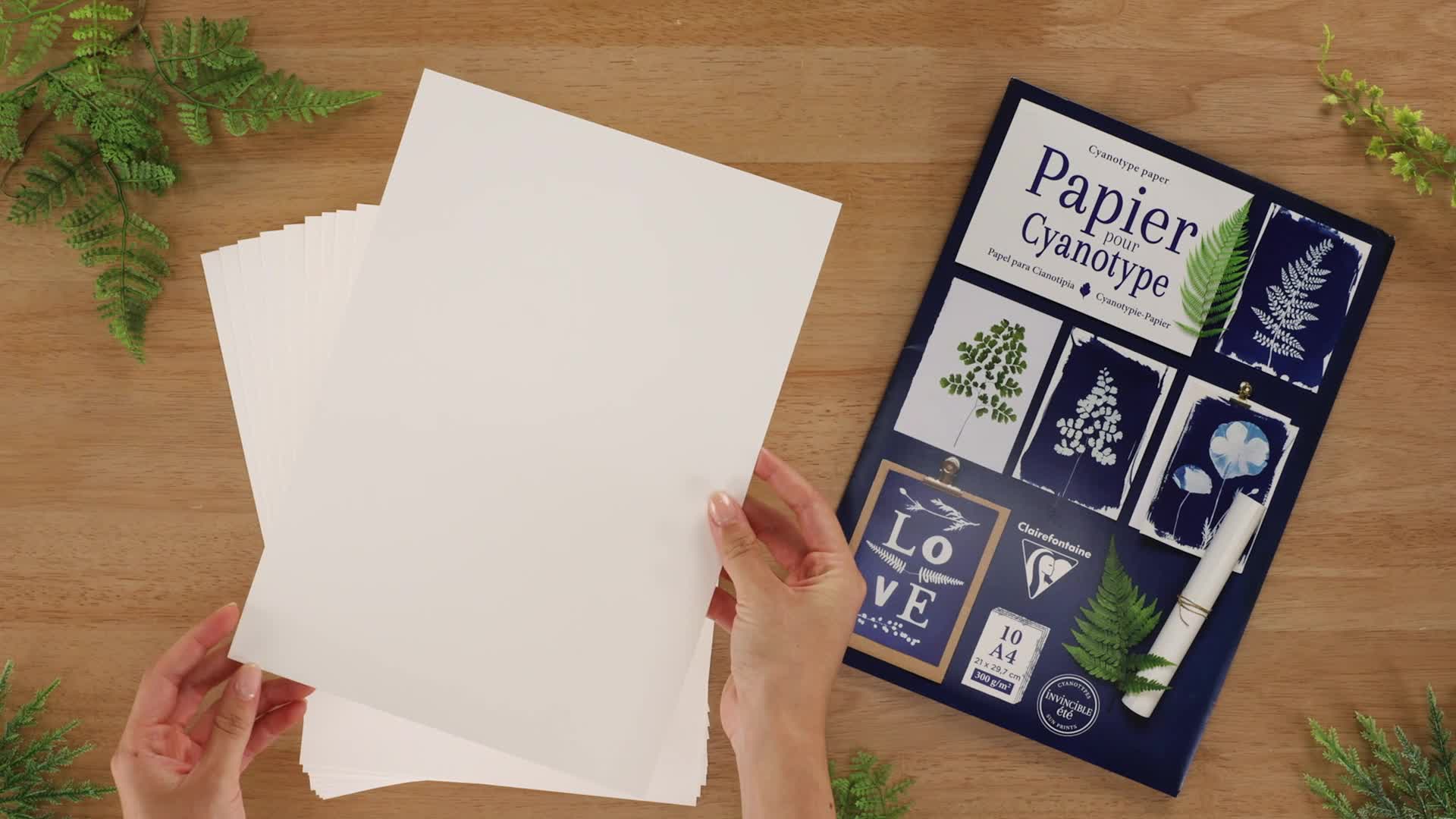 Lot 10 Feuilles Papier Cyanotype Clairefontaine - 300g/m² A4, Papier Épais Pour Impression Solaire Et Empreintes Solaires