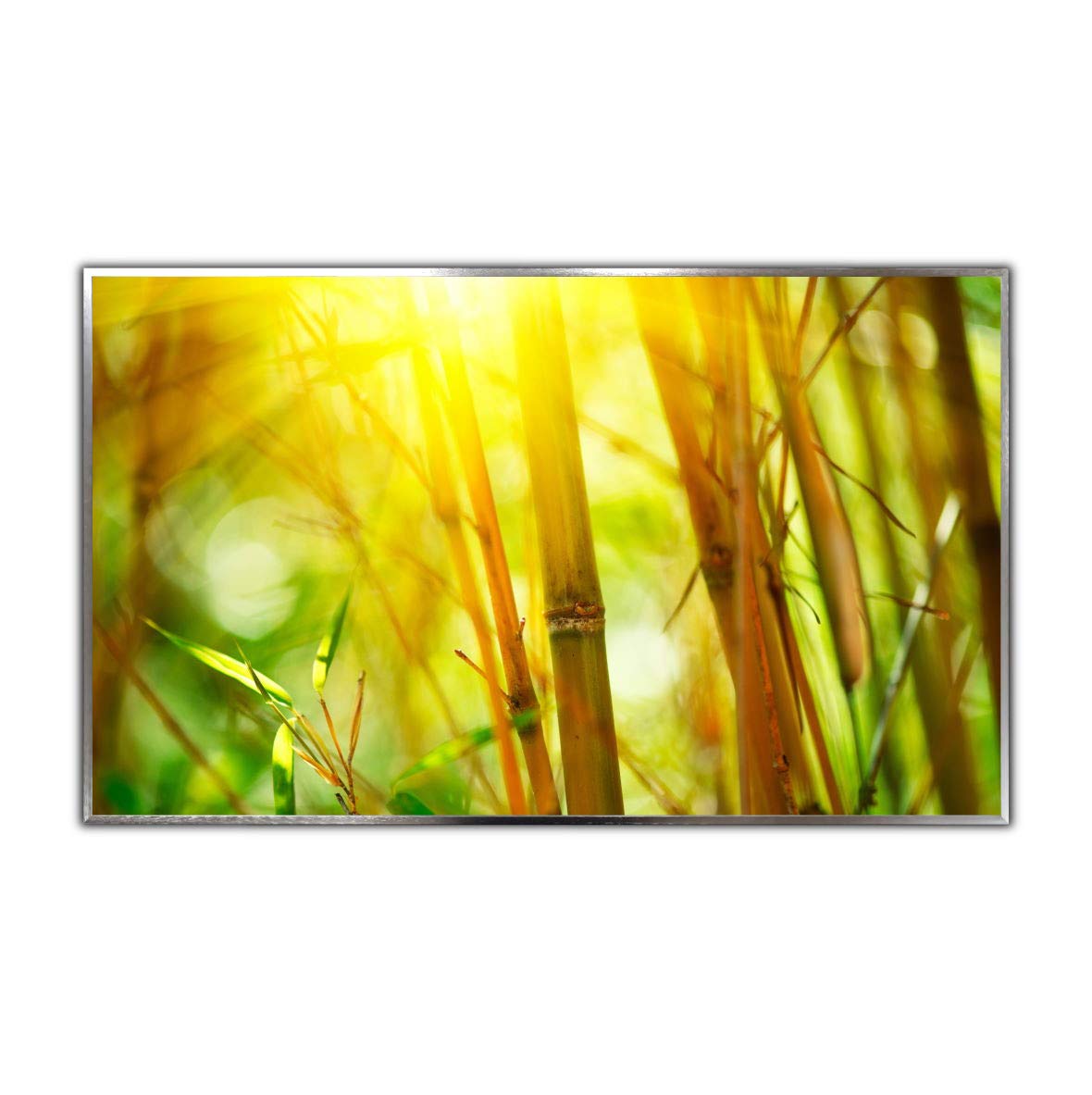 Glas Bild Infrarotheizung mit Thermostat | Made in Germany | viele Motive 350-1200 Watt Rahmen silber/alu (600 Watt, 062 Bambusbild)