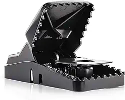 eXuby Armadilhas grandes e poderosas para ratos - mata instantaneamente com mola de aço potente - Configuração em segundos - Lavar e reutilizar mais e mais - Eliminação de mãos livres - Controle de