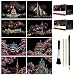 Scratch & Sketch Art Paper A4 for Kids & Adults, Rainbow Painting Night View Art&Craft, Engraving Art Set: 8 Sheets Scratch Cards & Scratch Drawing Pen, Clean Brush (Fireworks/Cherry blossoms) (8PACK)