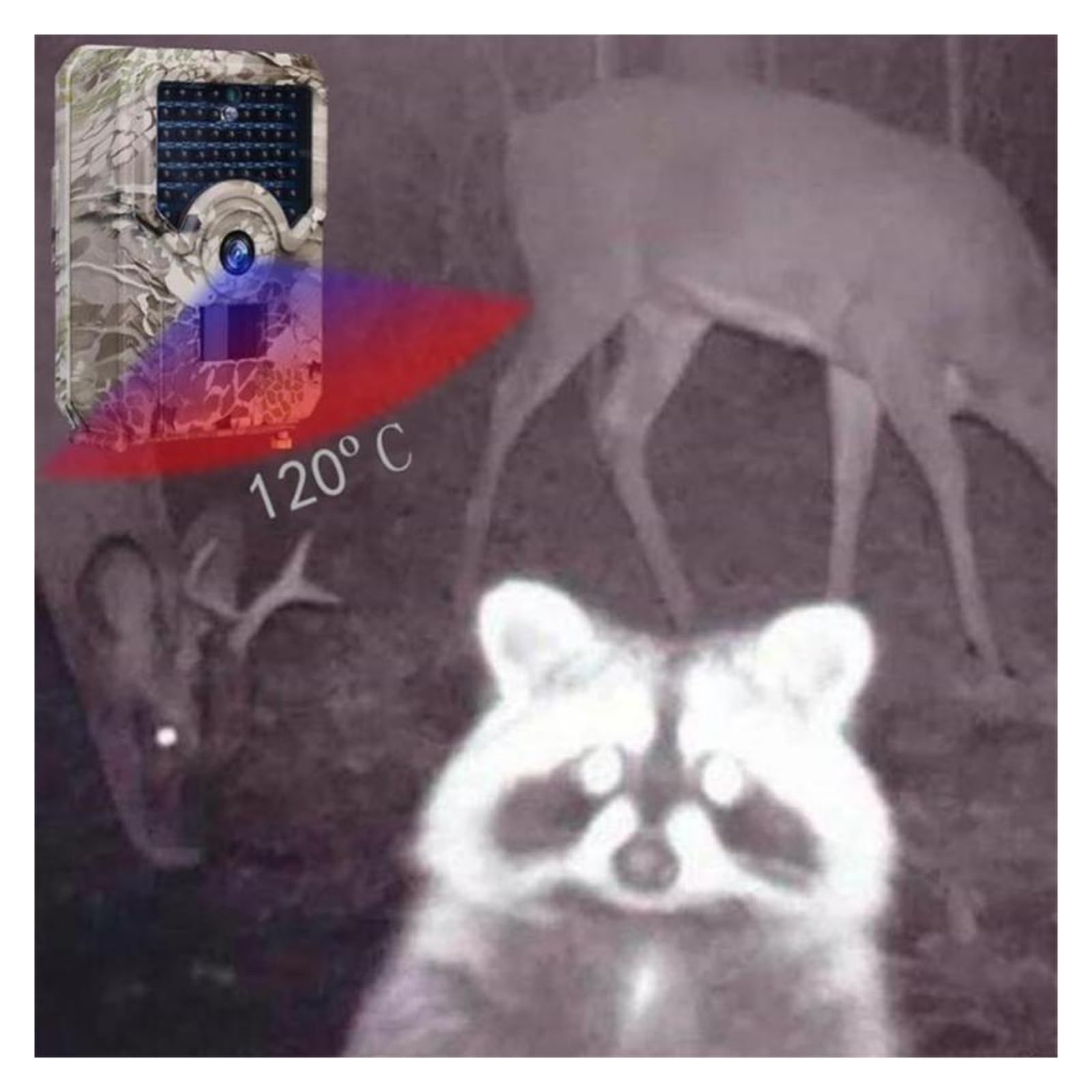 Kamera leśna, Kamera obserwacyjna myśliwska 12MP 1080P wodoodporna harcerze zdjęcie kamera noktowizyjna pułapka na dzikie zwierzęta zewnętrzna IP Monitor nadzór wideo(Orange Blue)