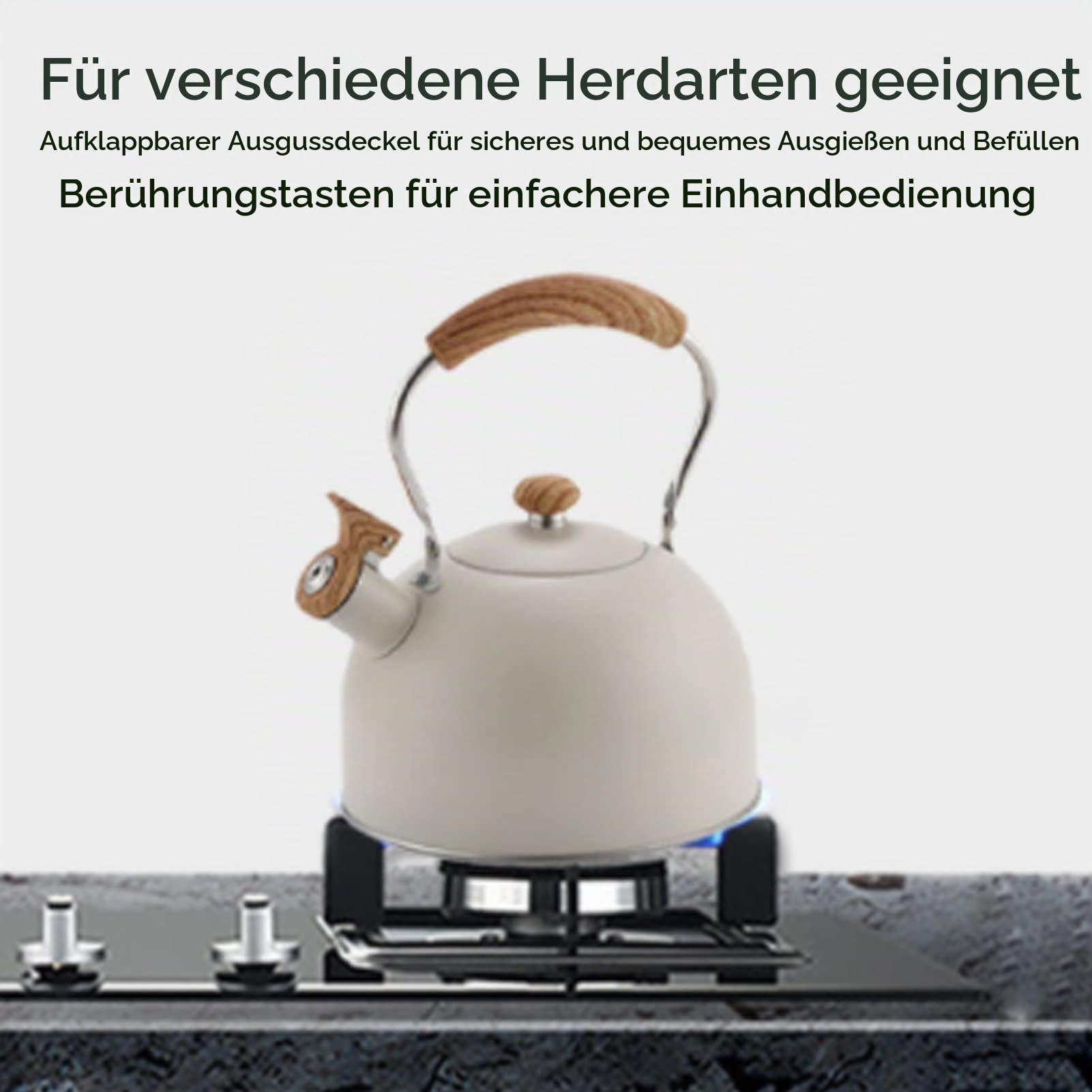 Herdkessel, Edelstahl 2,5 L Pfeifkessel Gaskessel mit Großem Fassungsvermögen, Induktionskessel mit Griff, Campingkessel für Gasherd