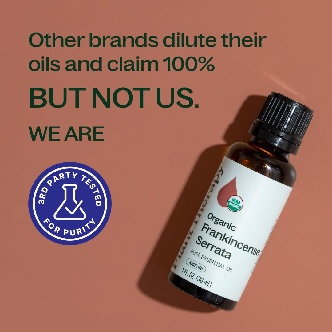 Plant Therapy Organic Frankincense Serrata Essential Oil 100% Pure, USDA Certified Organic, Undiluted, Natural Aromatherapy, Therapeutic Grade 30 mL (1 oz)