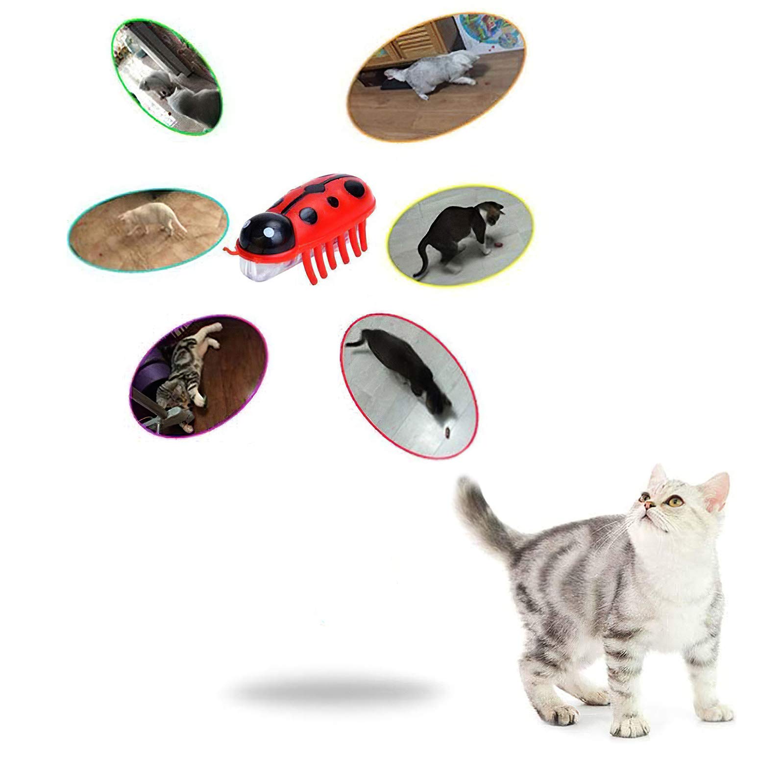 Lot De 3 Insectes Robots électriques – Coccinelles Miniatures Réalistes, Jouet Interactif Avec Piles (mixte)