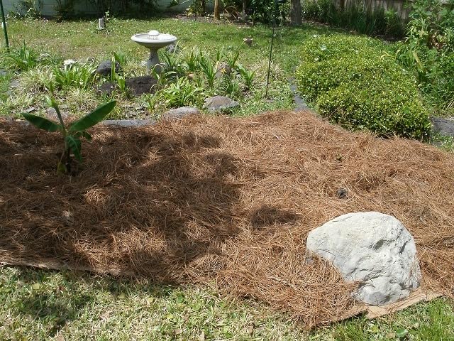 Exactly what I wanted