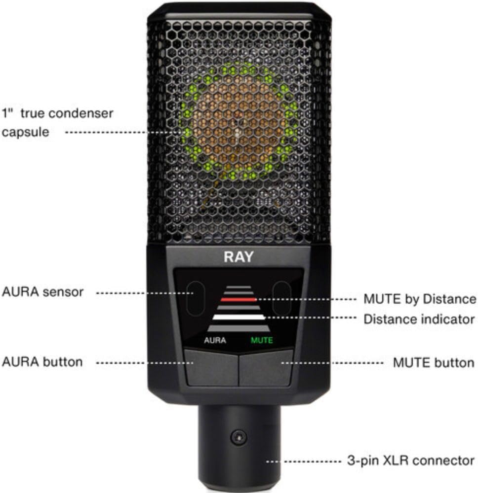 Lewitt RAY Large-Diaphragm Condenser Microphone with Distance Sensing Mute Bundle with Mic Stand with Fixed Boom XLR- XLR Cable