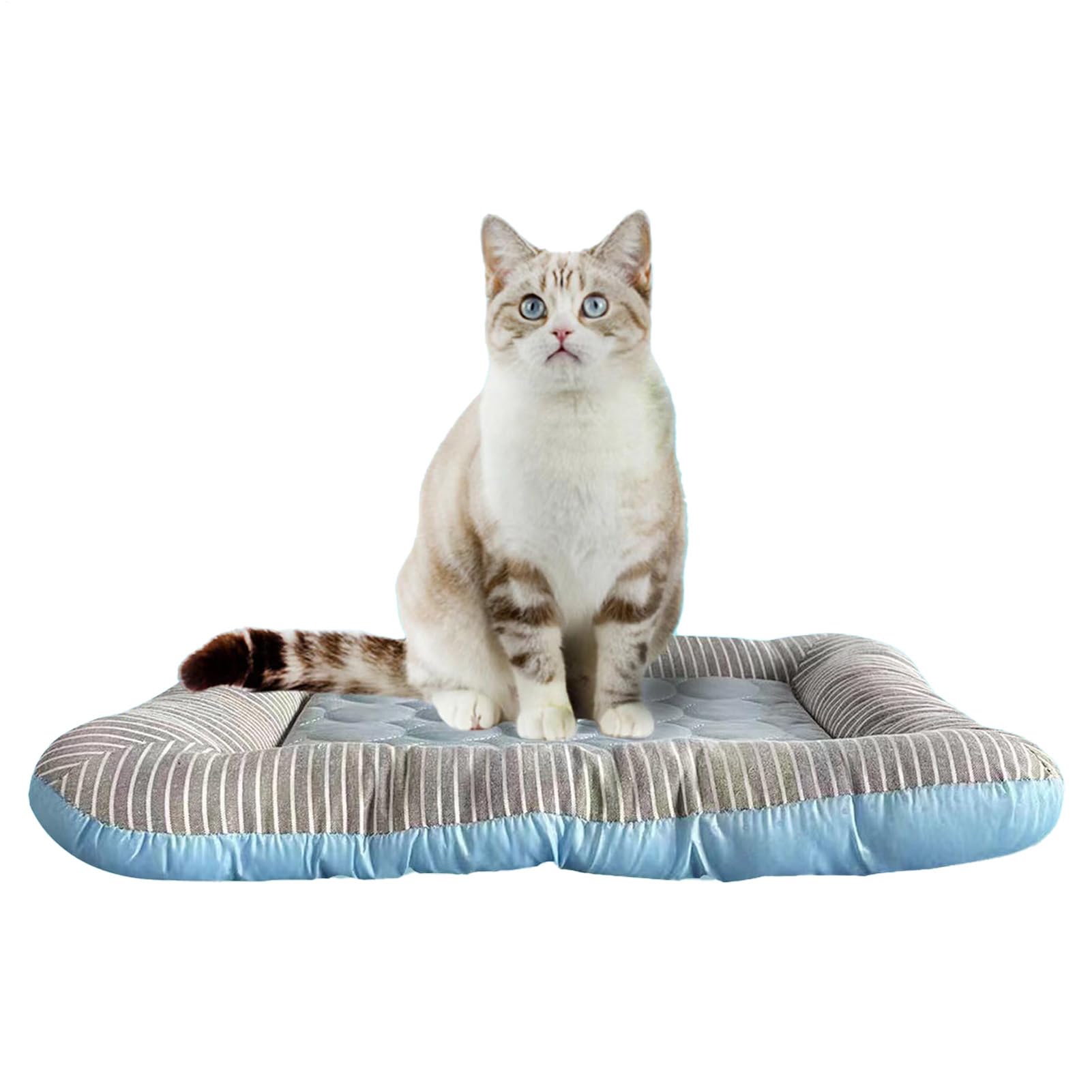 Lit Rafraîchissant pour Chats - Tapis Frais pour Animaux,Coussin Résistant pour Cages Rafraîchissant Chiens Moyens Chiots Lapins Petits Animaux
