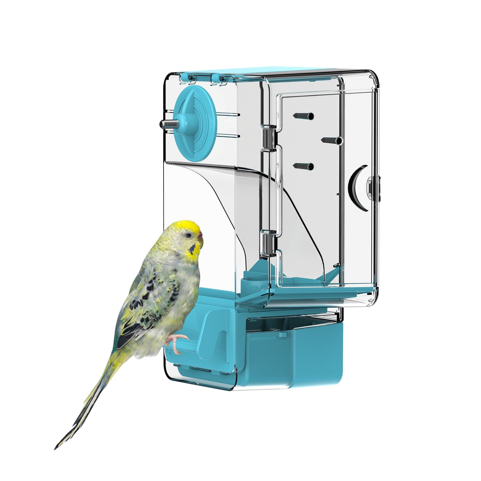 Automatic Bird Feeder