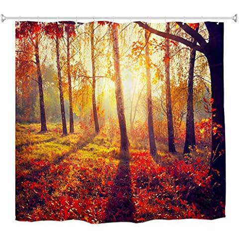 goodbath Cortina de ducha de otoño, sol de otoño, árboles del bosque, 72 x 72 pulgadas Cover