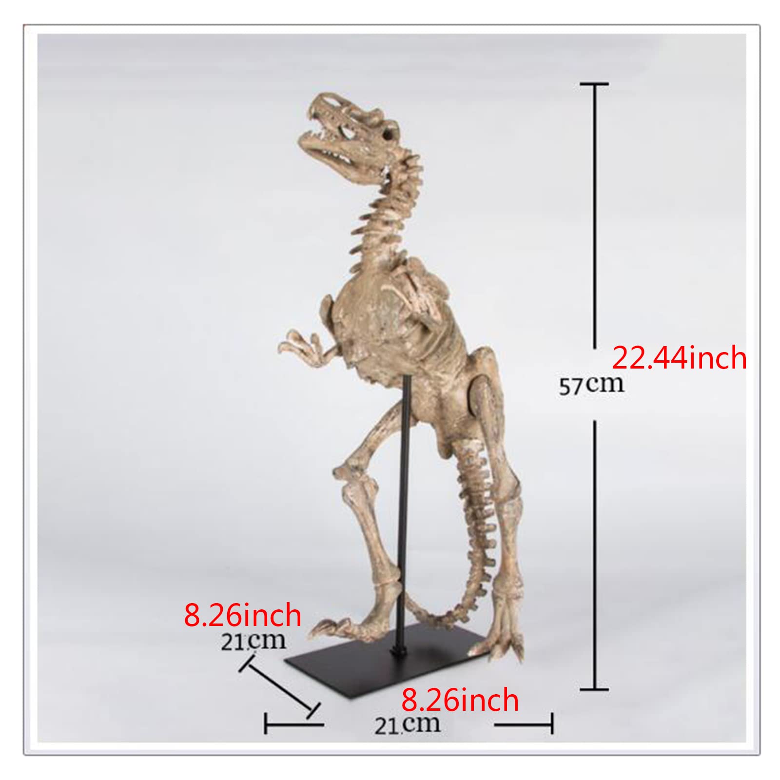 Model szkieletu Tyrannosaurus Rex - replika żywicy dinozaura w skali - ręcznie wykonana figurka żywicy dinozaura do badań archeologicznych zwierząt