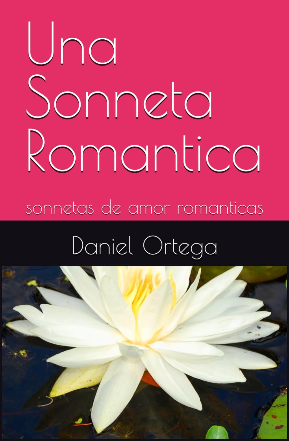 Una Sonneta Romantica: sonnetas de amor romanticas