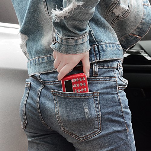 LEFON 充電式 多機能 AM FMポケットラジオ 高感度 USB.microSDカード対応 MP3プレーヤー LEDライト 非常用ラジオ 小型で軽量 携帯ラジオ (レッド)