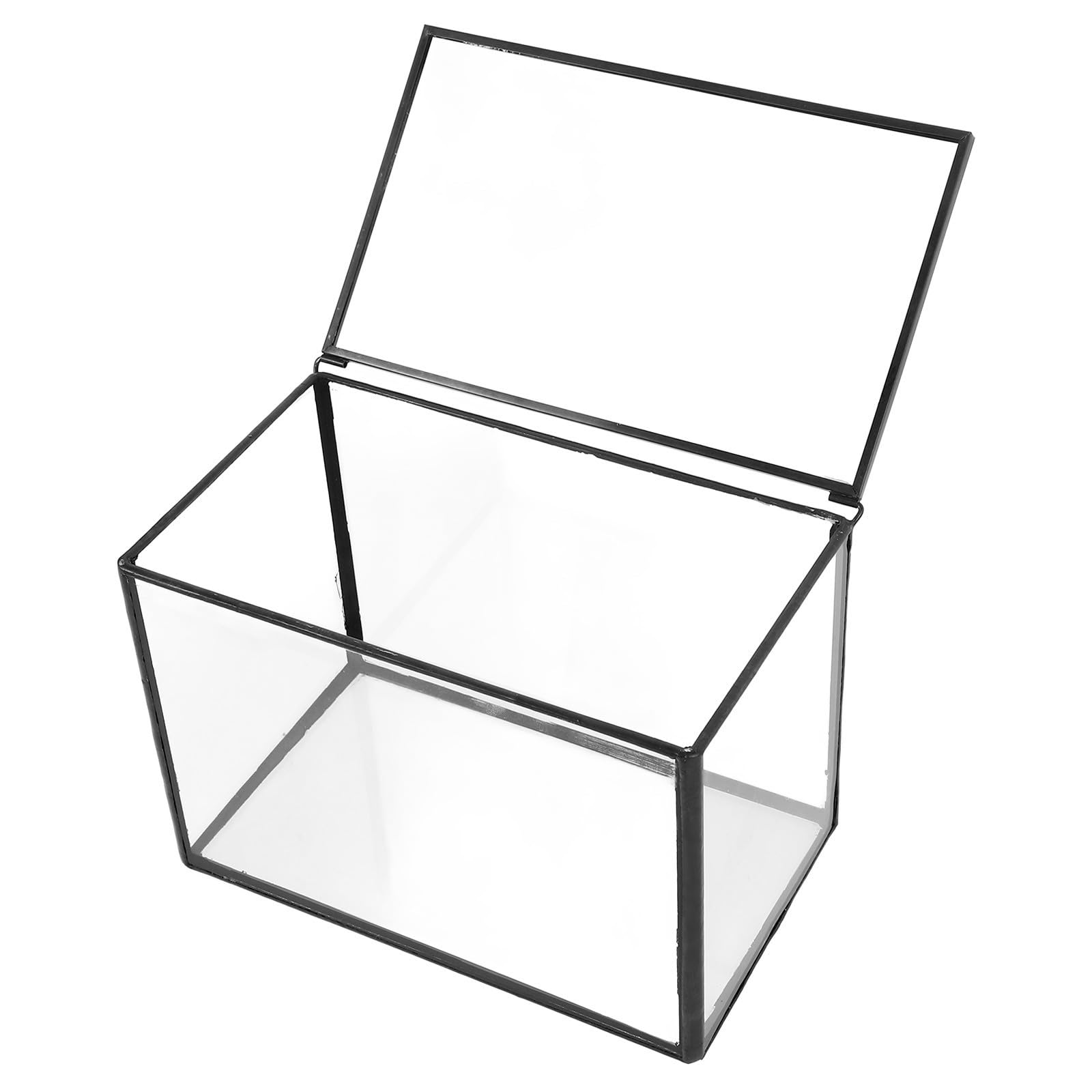 Terrario de Plantas Suculentas de Vidrio Transparente para Decoración, Recipiente Pequeño y Creativo para Jardín o Regalo, Estilo Natural y Artístico