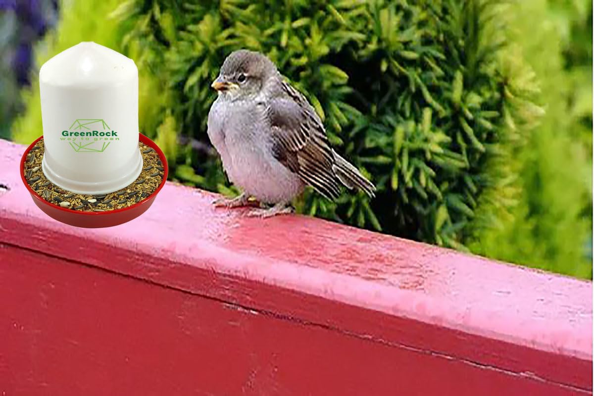 GreenRock Bird Feeder & Drinker Combo - 4 Pack -7 GreenRock Bird Feeder & Drinker Combo - 4 Pack -7