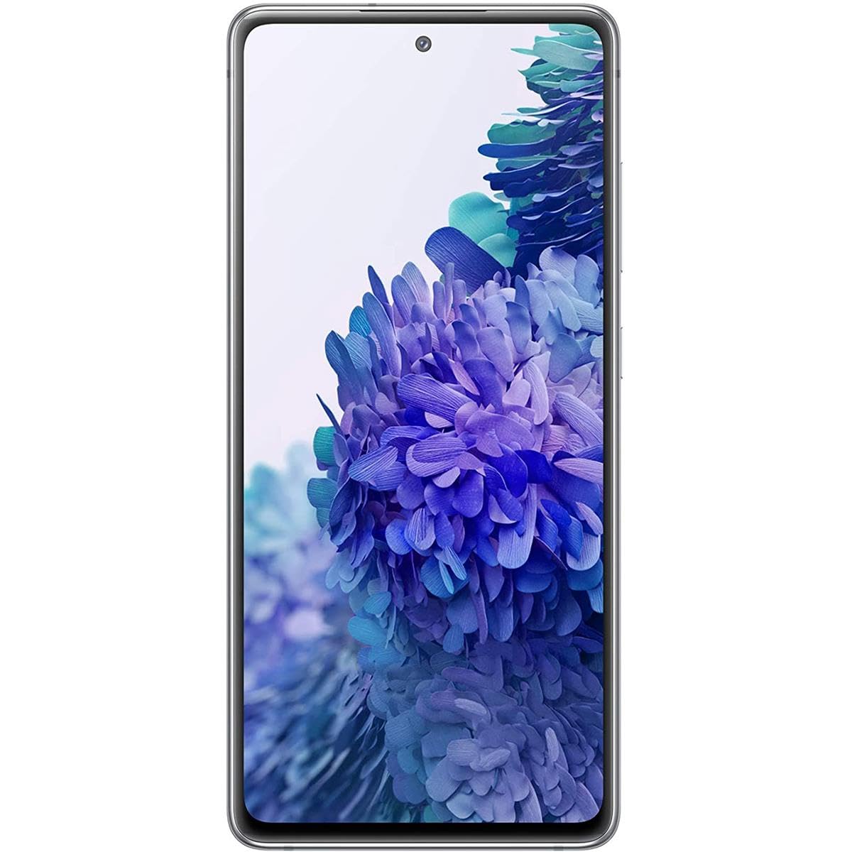 Samsung Galaxy S20 FE 4G (SM-G780F/DS) Dual SIM 128GB