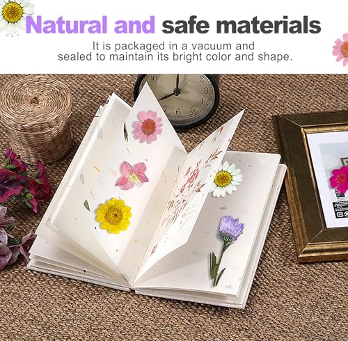 Set de flores prensadas reales 24 piezas para manualidades miniatura 5