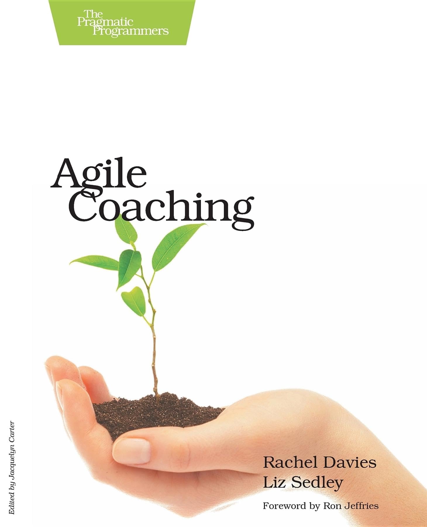 Agile Coaching 1st Edition