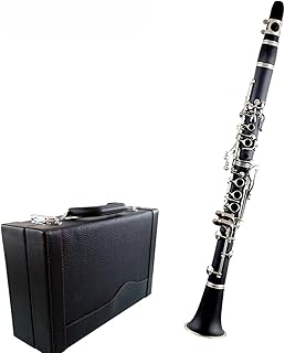 Clarinet Instrument A Professional Performance Grade C Bakelite Nickel-plated Clarinet for Beginner