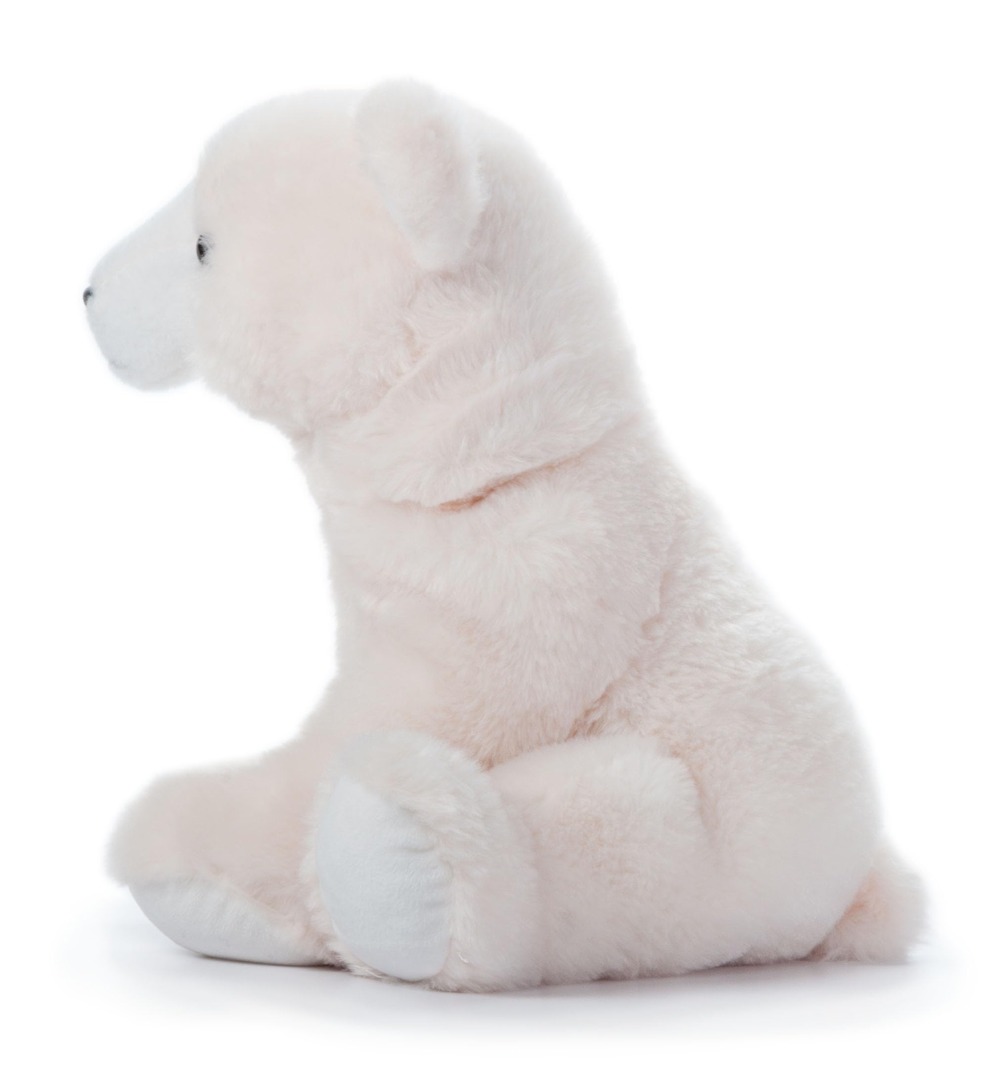 Amazon.com: The Petting Zoo Polar Bear Stuffed Animal, Gifts for