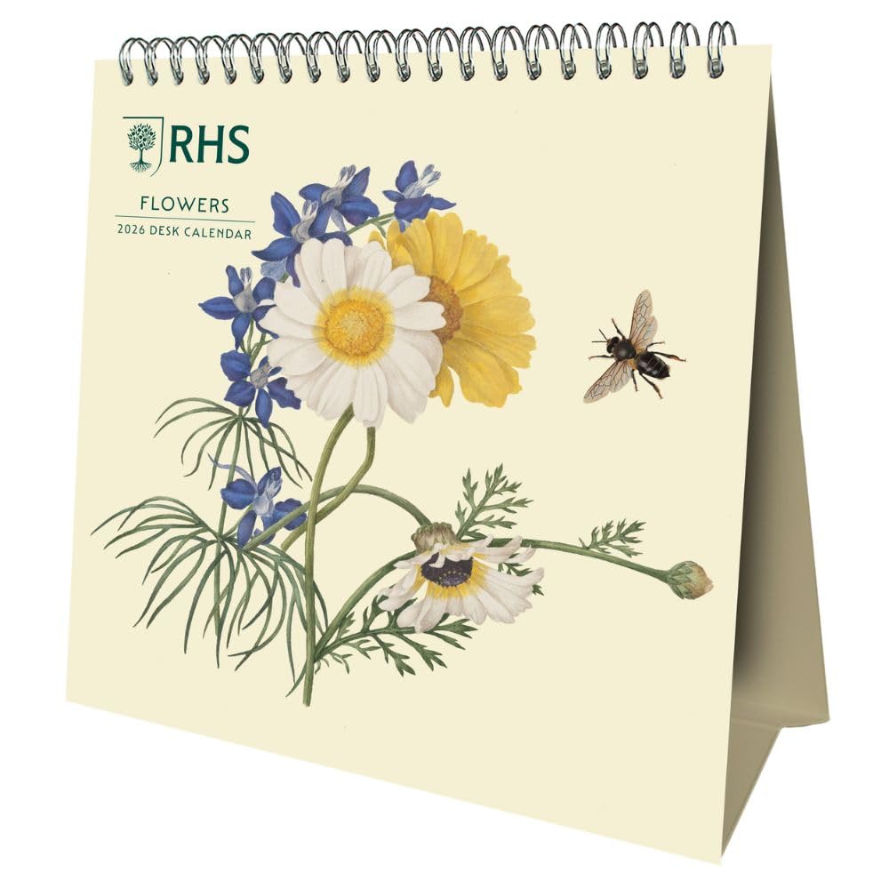 2026 CALENDAR RHS MONTH TO VIEW DESK EASEL OFFICIAL PRODUCT