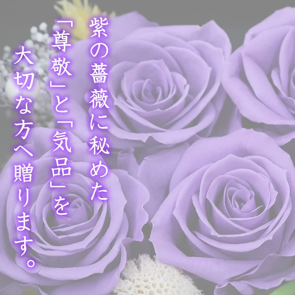 Amazon｜古希祝い プリザーブドフラワー 紫色のバラの花7輪 一升ます