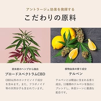 CBDオイル 高濃度 8％ CBD800mg 10ml × 65本 転売 仕入