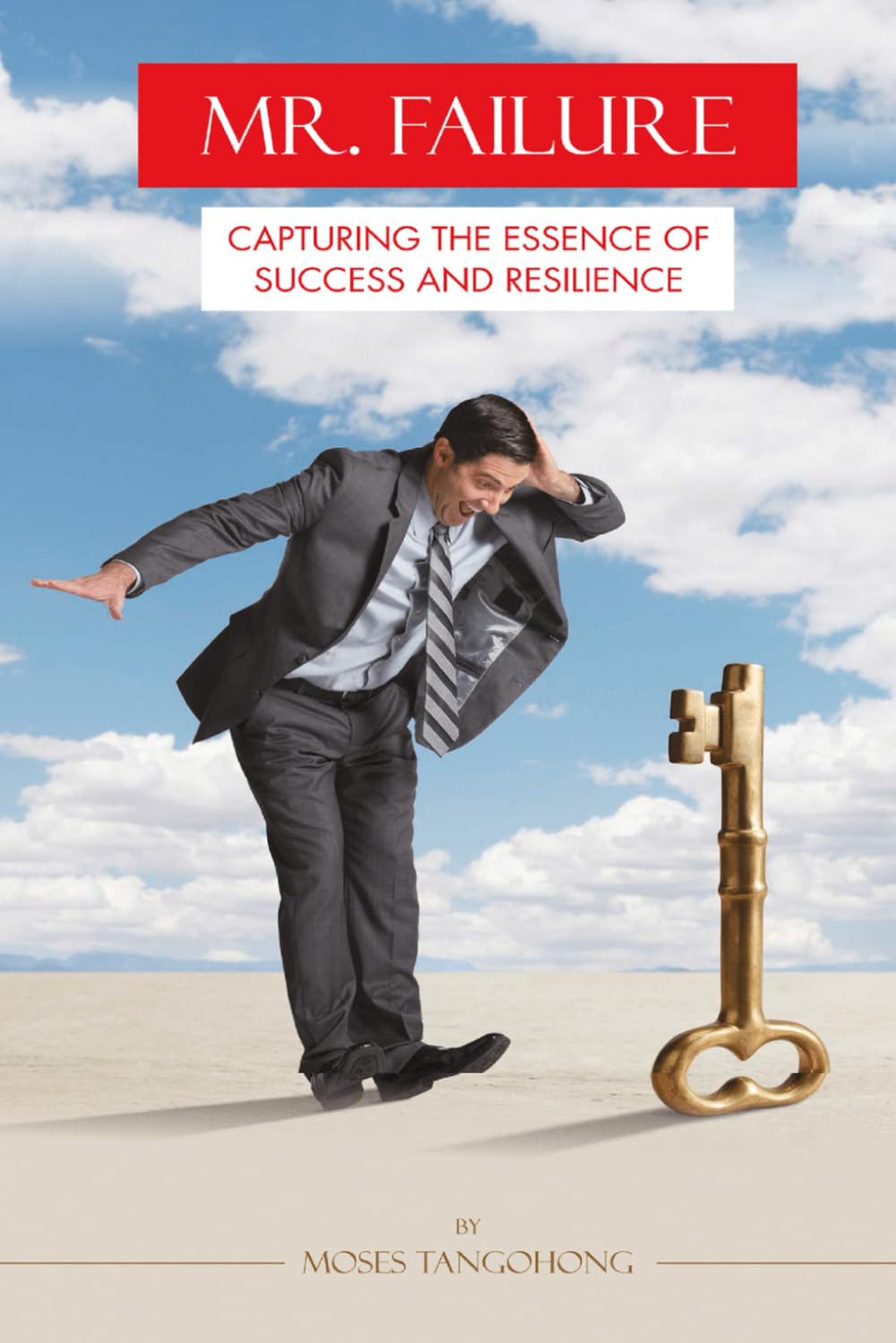 Mr. Failure: Capturing the essence of Success and Resilience