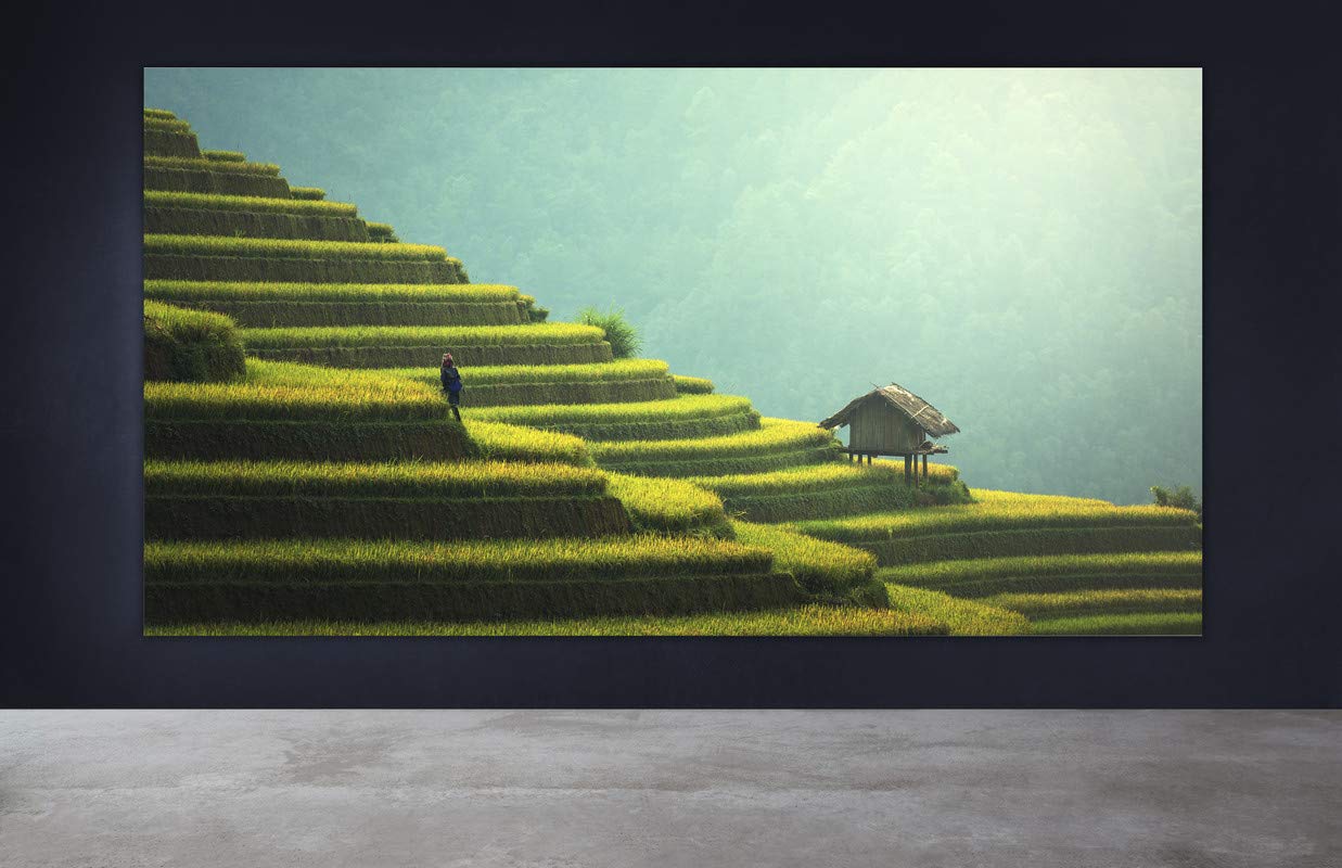 Wall Posters Amazon.in Home & Kitchen