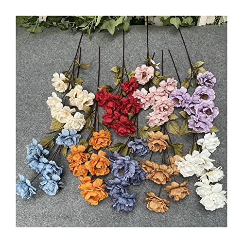 Flores de Peonía Blanca, Flores Secas Decorativas miniatura 5