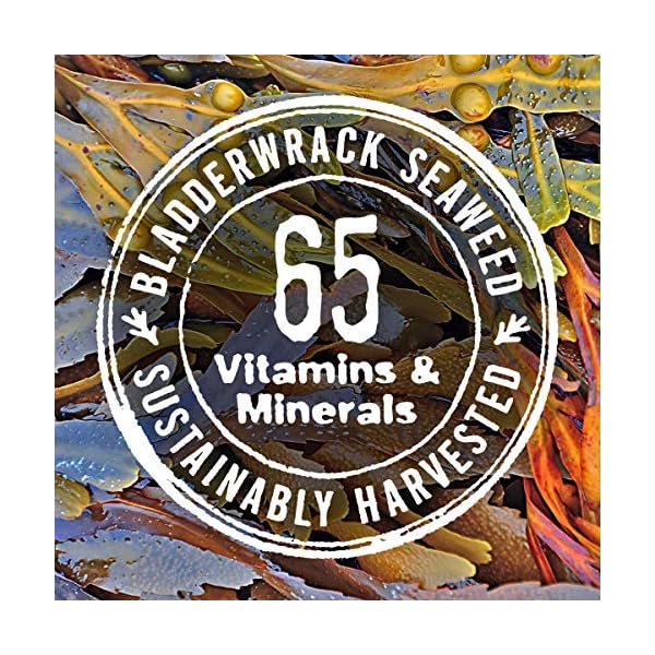 Seaweed Bath Co. Hydrate Body Cream, Eucalyptus Peppermint Scent, 6 Ounce, Nourishing Hand & Body Lotion Moisturizer for Dry Skin, with Sustainably Harvested Seaweed, Kukui Oil, Hyaluronic Acid