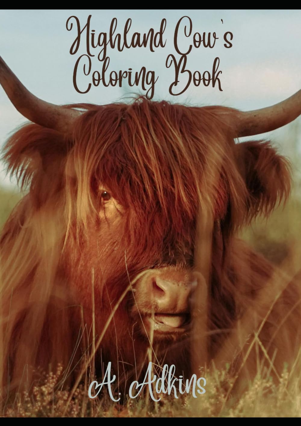 Highland Cows Coloring Book