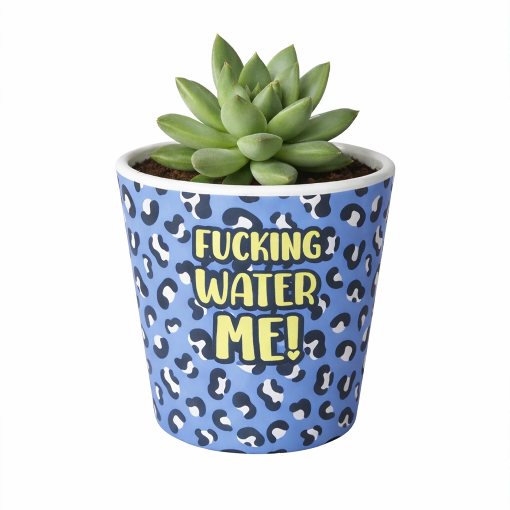 Silly Dog Designs - Funny Plant Pot with Drainage Hole – Leopard Print Novelty Indoor Plant Pot - Cheeky Slogan Flower Pot for Plant Lovers (Water Me Blue)