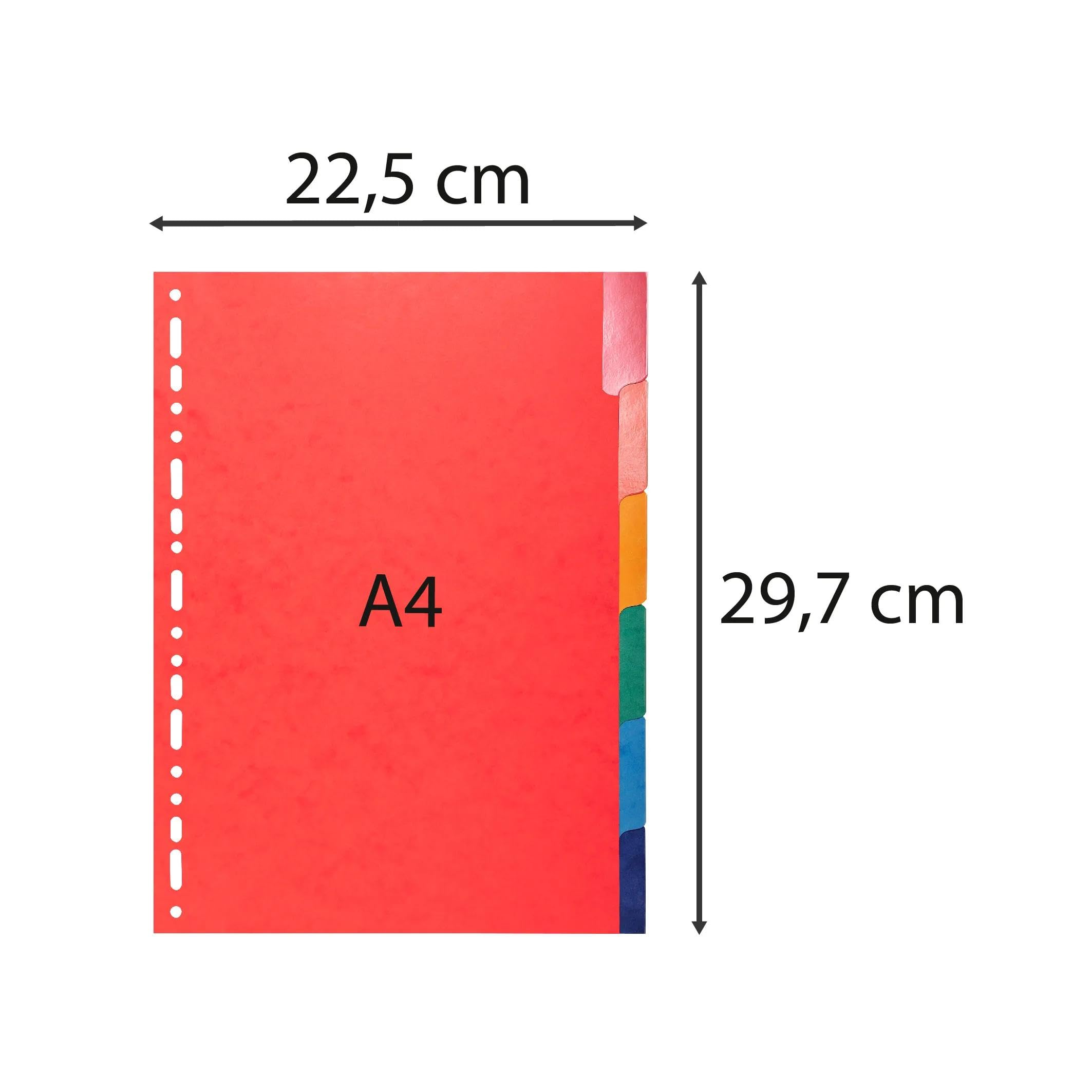 Exacompta 25 Register Glanzkarton 6 Taben blanko farbig A4