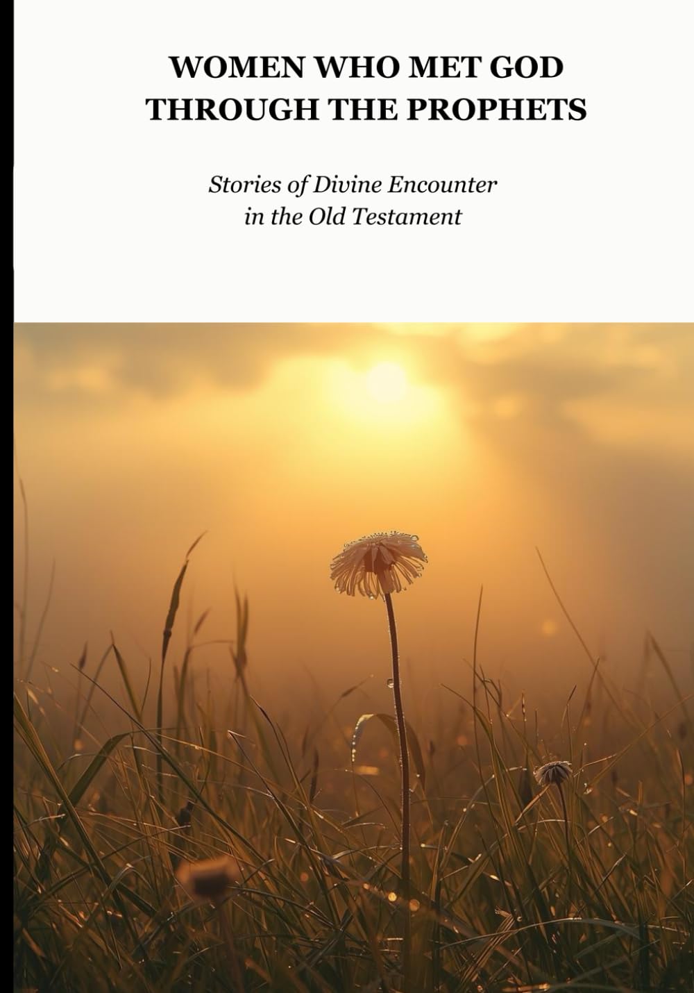 Women Who Met God Through Prophets: Stories of Divine Encounter In The Old Testament (Biblical Portraits)