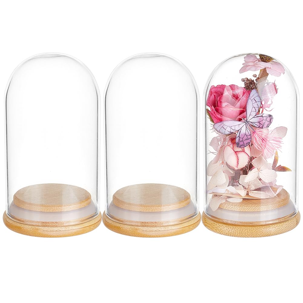 Bocal en verre anti-poussière BENECREAT avec socle bois pour protéger vos créations 3pcs