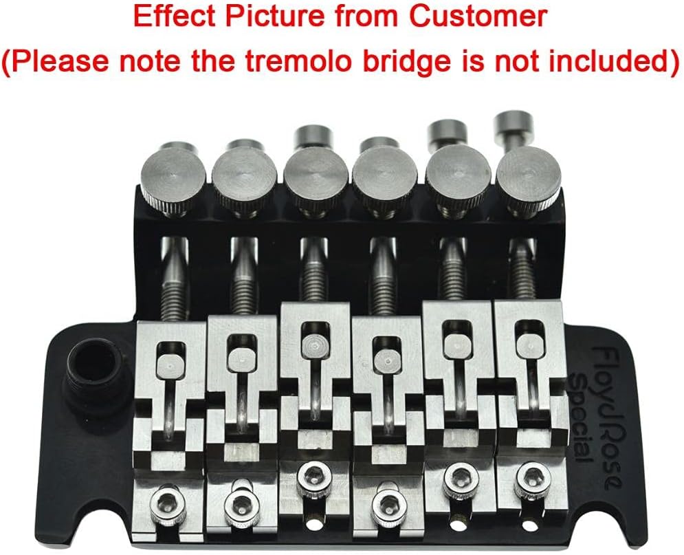 Dopro Guitar Stainless Steel Double Locking Tremolo Bridge Saddles and Screws for FR Tremolos