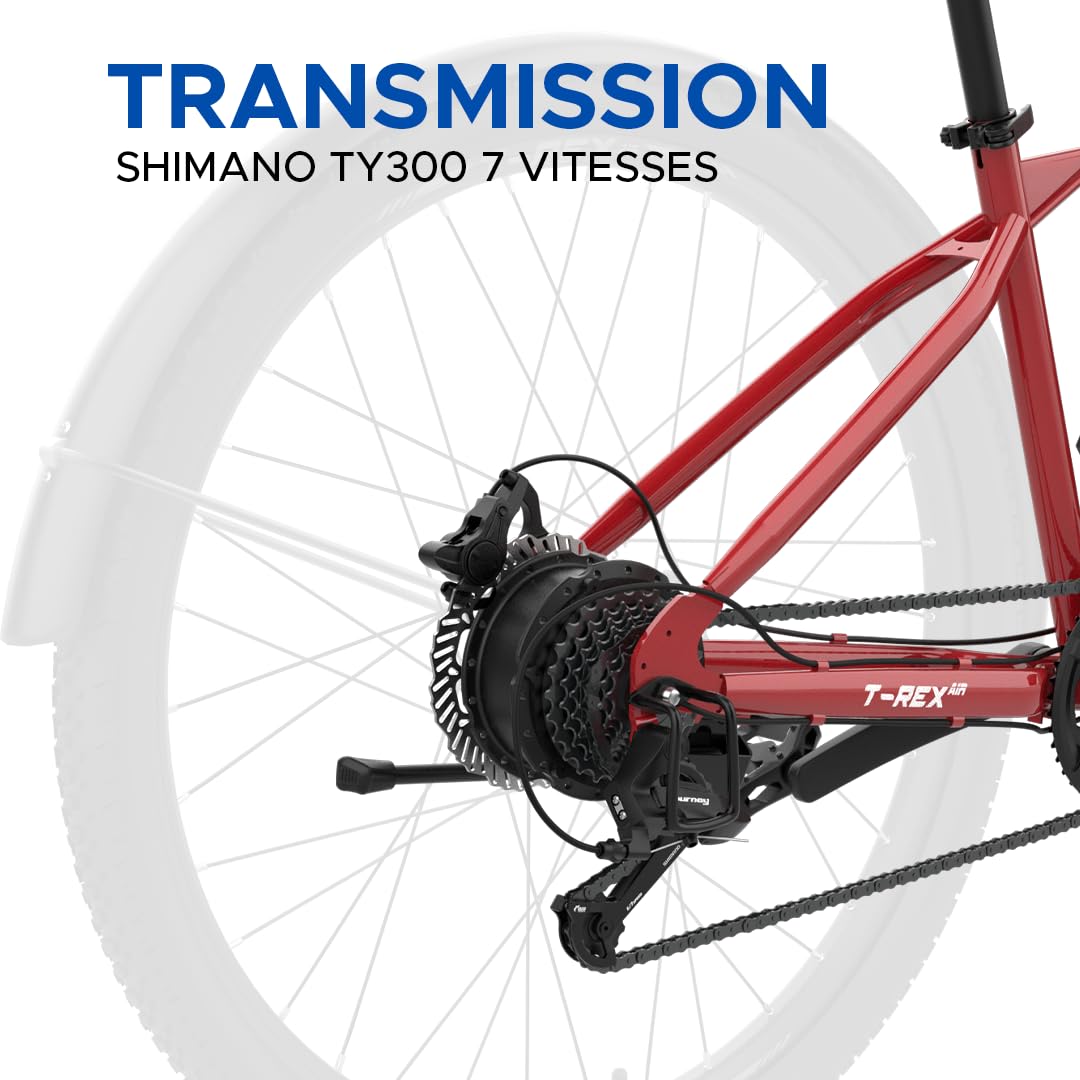 EMotorad T-Rex Air | Vélo Électrique Tout-Terrain pour Adultes | Pneus 29x2.4" | Moteur 36V 250W | Batterie Amovible 13Ah | Suspension Avant 100mm | Freins à Disque Mécaniques